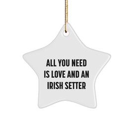 Irish Setter Dog Love and Star Ornament Gifts from Men to Family for Christmas