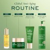 Nuxuriance Ultra The Global Anti-Aging Night Cream by Nuxe for