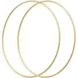 Large Metal Floral Hoop,Macrame Ring Wreath for Dream Catcher Crafts Ring and DIY Wall Hanging Crafts (Metal Hoop, 2 x 20inch)