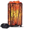 Shineled Himalayan Salt Lamp, Salt Rock Lamp Natural Night Light
