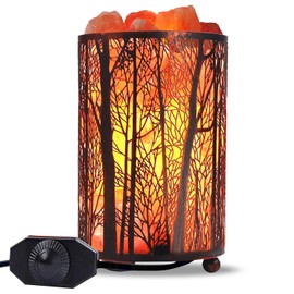 Shineled Himalayan Salt Lamp, Salt Rock Lamp Natural Night Light in Forest Design Metal Basket with Dimmer Switch (4.1 x 6.5 4.4-5lbs), 25Watt Bulbs & ETL Cord 1 Pack