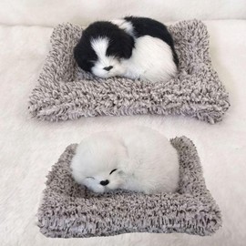 Shoe cabinet odor removal indoor home room dehumidifying deodorizer Baduk Baduk 10ea