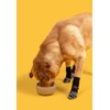 Premium Non-Slip Dog Socks for Hardwood Floors - Extra-Thick Grip