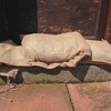 Yuzet 5 x Unfilled Hessian Burlap Sand Bags, Flood Protection,