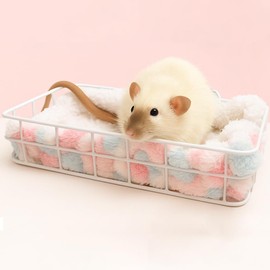 Rat Cage Accessory Platform Bed with Blanket,Metal and Soft Pad, Small Pet Animal Rest Hammock, Chew Proof Habitat House Hide Toy for Guinea Pigs Chinchillas Sugar Gliders Hamsters Squirrel Birds