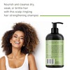 Mielle Rosemary Mint Collection Shampoo