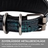 FAVPET Luxury Genuine Leather Greyhound Collar Wide with QR Code