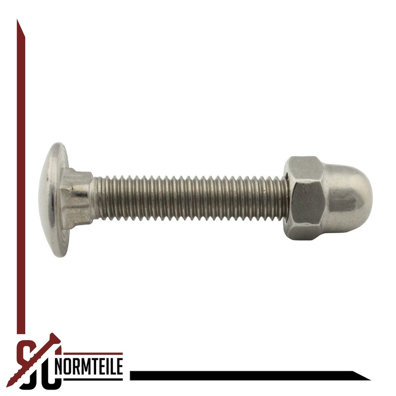 M6 x 45 (25 Pieces) Full Thread DIN 603 /