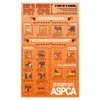 PET CPR INSTRUCTIONAL POSTER 24X36 unique educational animal-friendly HOT NEW