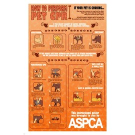 PET CPR INSTRUCTIONAL POSTER 24X36 unique educational animal-friendly HOT NEW