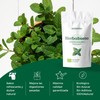 Spearmint Tea Organic 100g (50 Cups) | 100% Pure Spearmint