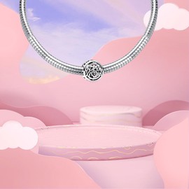 Amuefer - Abalorio de plata de ley 925 con circonita cúbica para collares, cumpleaños, Navidad, regalos para mujeres y niñas, Plata esterlina, Circonita cúbica