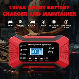 TEISQI Car Battery Charger, 12V 6A Smart Battery Trickle Charger Automotive 12V Battery Maintainer Desulfator with Temperature Compensation for Car Motorcycle Mower Marine Lead Acid Batteries (Green)