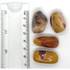 Mookaite Medium Crystal Tumbled Stone - 1 Pc