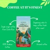 Specialty Coffee from Costa Rica I Medium Roast Ground I