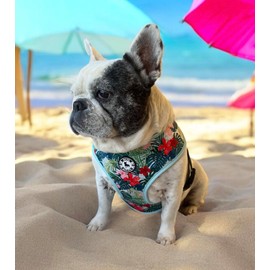 Hawaiian Print Harness & Leash Set (L)