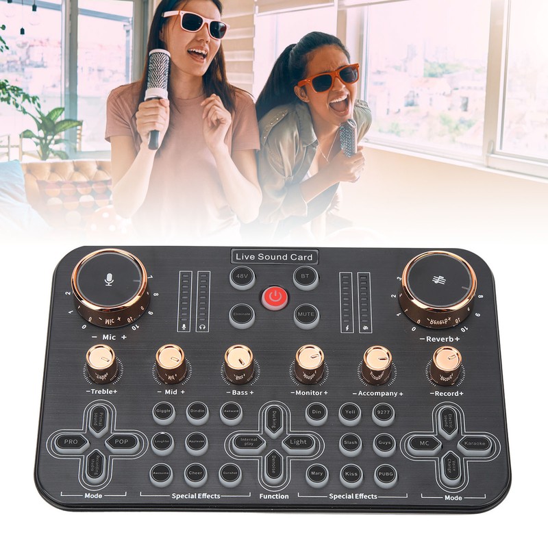 Sound Board Multiple Effects Voice Changer Sound Card for Live
