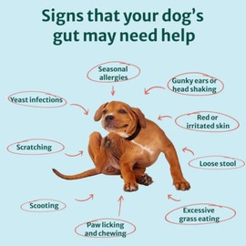 DogSuppy Itch Relief Probiotics for Dogs - Stop Scratching & Paw Licking, Relieve Allergies & Yeast - Supplement for Dogs, 100% Natural, Bonus Dental Sticks Included, Without meat