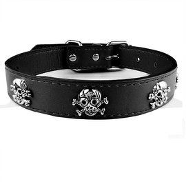 AiliStar New Skull Dog Collar Skeleton Cat Collar Skull Design Pet Collar for Dogs and Cat Black Medium Fits for Neck Girth from 11.5" to 13.5"