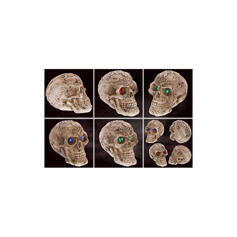 mtb more energy [Set of 3] Decorative Skull "Shaman's Prophecy"