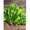 Large Leaved Spinach Matador 100+ Non-GMO Seeds for Planting