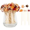 100 Fall Cocktail Picks, Thanksgiving Fancy Toothpicks for Appetizers Decor