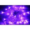 Karlling Battery Operated Purple 40 LED Fairy Light String Wedding