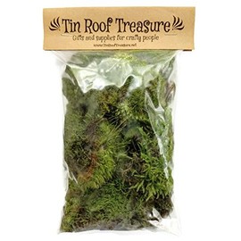 1 Square Foot Tin Roof Treasure Live Moss Assortment