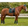 LeMieux ProSport Suede Dressage Square - Spruce