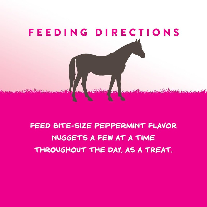 Manna Pro Bite-Size Nuggets for Horses – Horse Training Treats
