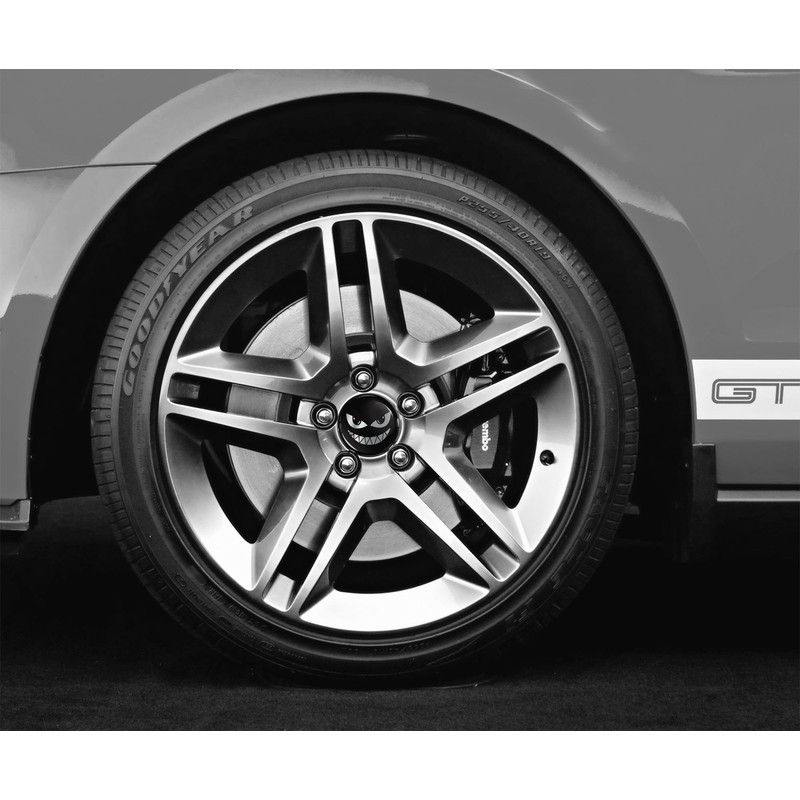 Biomar Labs 4 x Center Hubcaps, Compatible with Ford Centre