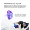 Gigwi Squeaker Ball Dog Toy, Small
