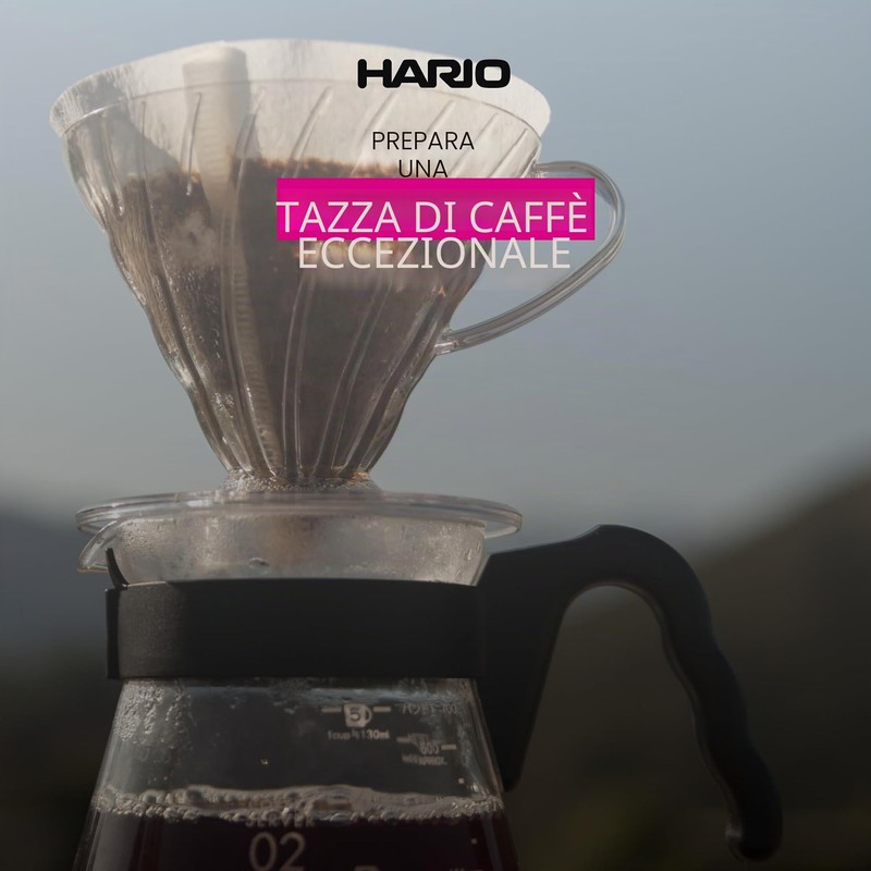 Hario, Confezione di filtri in Carta per caffè, VCF-01-100M, White,