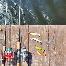 balacoo 5pcs Metal Bait Cage Fishing Bait Cage Lure Cage Bait Fishing Accessory Bait Crab Bait Cage Bait Bucket Carp Fishing Basket Fishing Cage Stainless Steel Nesting Cage