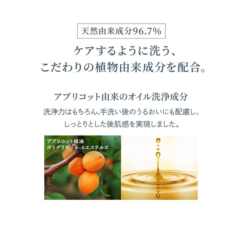 Waphyto Hand Wash, 10.1 fl oz (300 ml), Hand Soap