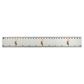 'Perched Barn Owl' 30cm (12 Inch) White Plastic Ruler (RL00085630)