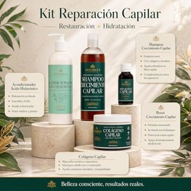 Apigreen Kit Reparador para Cabello Maltratado, Seco, Teido o Decolorado  Shampoo sin Sulfatos ni Parabenos, Boost, Acondicionador con cido...        