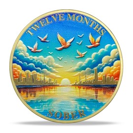 12 Month Sobriety Coin Gifts | Sunset and Birds AA Coin - NA HA Chip Medallion with Serenity Prayer | Narcotics Alcoholics Anonymous Gifts for Anniversary Month & Year for Men & Women in Recovery