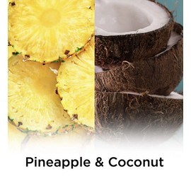 Air Wick 2 Air Wick Essential Mist Refill 3 Count Coconut And Pineapple Air Freshener