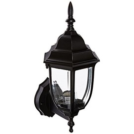 Acclaim 5011BK Wexford Collection 1-Light Wall Mount Outdoor Light Fixture, Matte Black