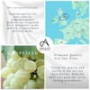 Absolute Aromas Absolute Aromas Grapeseed Oil 500ml - Pure, Natural,