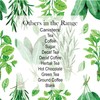 Purely Home Kitchen Herbs Peppermint Tea Storage Canister - White