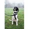 Brody The Dog heavy duty dog lead, anti twist, for