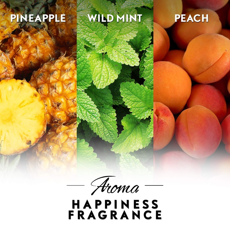 Air Wick Essential Mist Refill, 3 ct, Happiness, Essential Oils