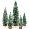 Fayavoo Mini Christmas Tree Bottle Brush Christmas Trees, 5Pcs Small