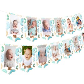 Balterever Donut 1st Birthday Boy Blue Donut Photo Banner, 8.3" x 6.3" Rectangular Banner, Durable Paper, Wall Mount, Party Decoration