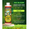 FoxFarm - Big Bloom Plant Food, Liquid Fertilizer Concentrate for
