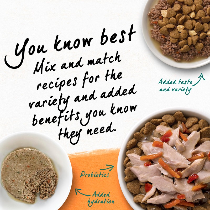 Purina Beyond Grain Free White Meat Chicken and Egg Recipe