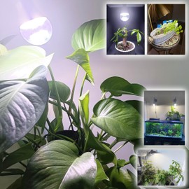 Full Spectrum Small Base E12 Candelabra Plant Grow Light Bulbs,Red Blue Yellow 5000K White Plant Growing Lamp Bulbs 10W with Balanced Spectrum for Indoor Seeds Greens Laboratory,School,Greenhouse,2Pcs