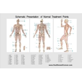 HiDow Electrode Gel Pads for Lower Back/Shoulder 3.5 mm TENS Unit STEM and EMS Units